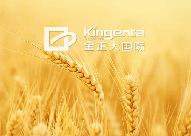 金正大生態(tài)工程集團(tuán)股份有限公司